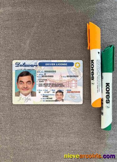 USA Delaware driving license photolook